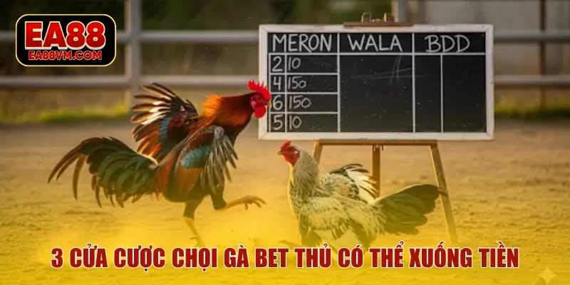 3 cửa cược chọi gà bet thủ có thể xuống tiền