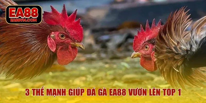 3 thế mạnh giúp đá gà EA88 vươn lên top 1