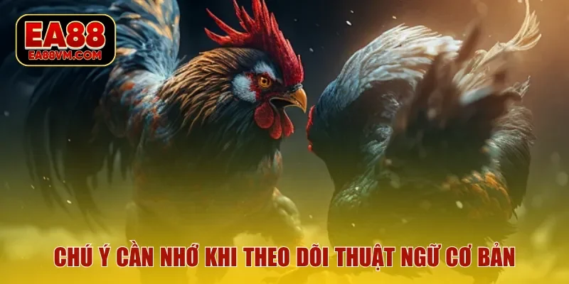 Chú ý cần nhớ khi theo dõi thuật ngữ cơ bản