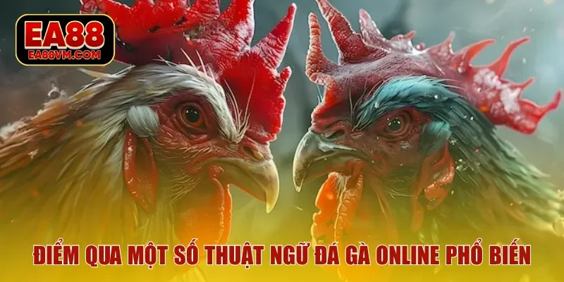 Điểm qua một số thuật ngữ đá gà online phổ biến