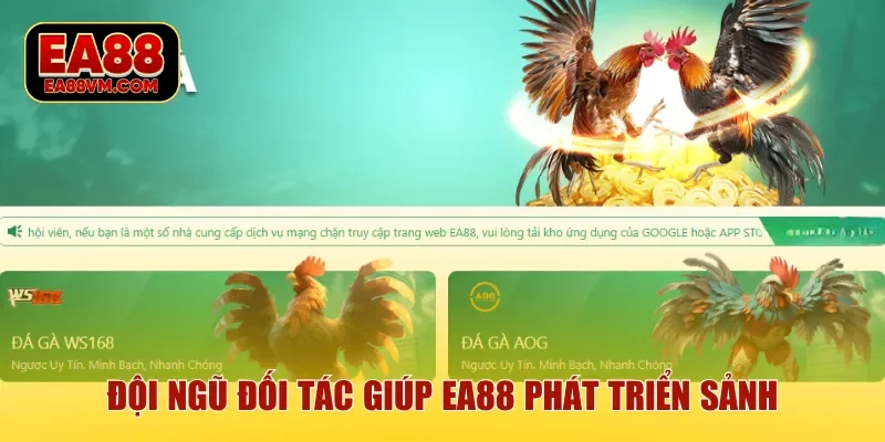 Đội ngũ đối tác giúp EA88 phát triển sảnh