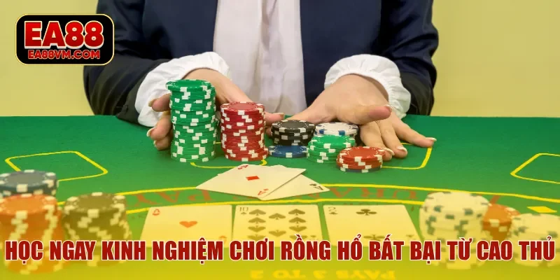 Học ngay kinh nghiệm chơi Rồng Hổ bất bại từ cao thủ
