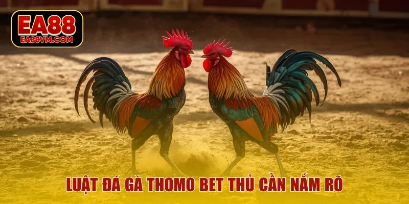 Luật đá gà Thomo bet thủ cần nắm rõ