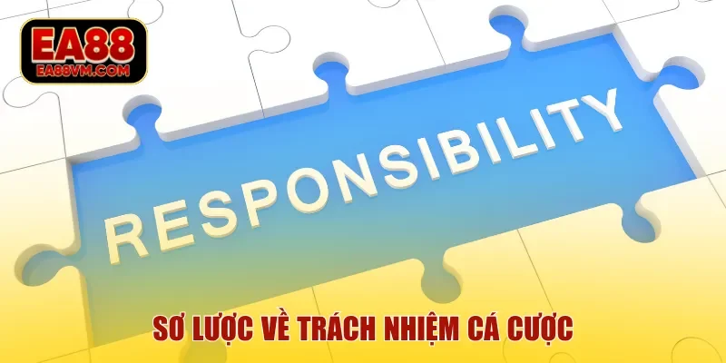 Sơ lược về trách nhiệm cá cược