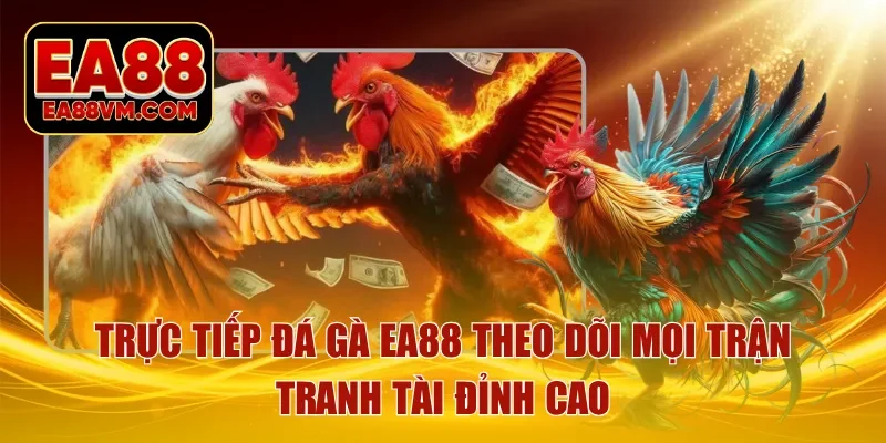 Trực tiếp đá gà