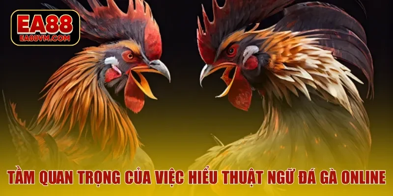 Tầm quan trọng của việc hiểu thuật ngữ đá gà online